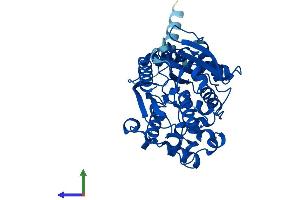 AlphaFold protein structure predicition of Human Recombinant NCEH1 Protein, UniprotID Q6PIU2