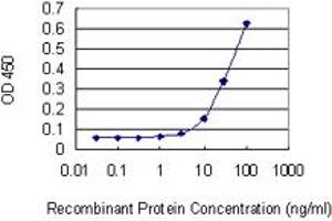 Detection limit for recombinant GST tagged VSTM2L is 3 ng/ml as a capture antibody. (VSTM2L anticorps  (AA 25-204))