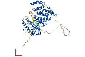 AlphaFold protein structure predicition of Human Recombinant MAPK9 Protein, UniprotID P45984