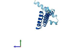 AlphaFold protein structure predicition of Human Recombinant MPC2 Protein, UniprotID O95563