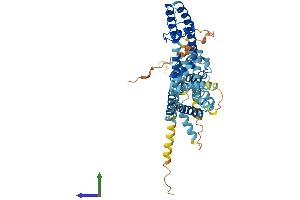 AlphaFold protein structure predicition of Human Recombinant KCNG1 Protein, UniprotID Q9UIX4