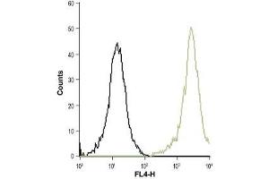 Cell surface detection of CysLTR1 in live intact THP-1 (acute monocytic leukemia) cells: (black line) Cells + goat-anti-rabbit-Cy5.