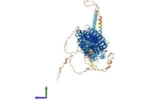 AlphaFold protein structure predicition of Mouse Recombinant Slc12a1 Protein, UniprotID P55014