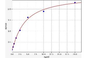 Typical standard curve (FOXP3 Kit ELISA)
