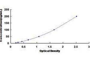 ELISA image for Insulin-Like Growth Factor Binding Protein 1 (IGFBPI) ELISA Kit (ABIN415872)