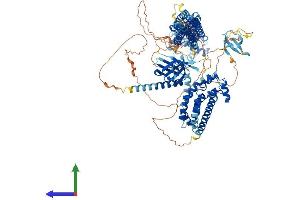 AlphaFold protein structure predicition of Mouse Recombinant Mcf2l Protein, UniprotID Q64096