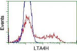 Image no. 1 for anti-Leukotriene A4 Hydrolase (LTA4H) antibody (ABIN1499213) (LTA4H anticorps)