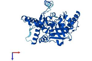 AlphaFold protein structure predicition of Mouse Recombinant Mogat1 Protein, UniprotID Q91ZV4