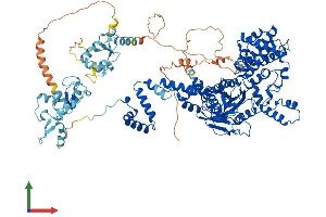 AlphaFold protein structure predicition of Human Recombinant RAG1 Protein, UniprotID P15918