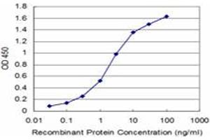 Detection limit for recombinant GST tagged FADD is approximately 0. (FADD anticorps  (AA 109-208))