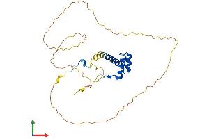 AlphaFold protein structure predicition of Mouse Recombinant Hoxb5 Protein, UniprotID P09079