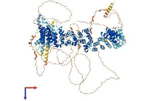 AlphaFold protein structure predicition of Mouse Recombinant Mroh7 Protein, UniprotID A2AVR2