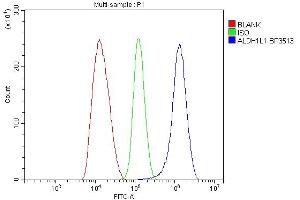 anti-Aldehyde Dehydrogenase 1 Family, Member L1 (ALDH1L1) (AA 282-424) antibody