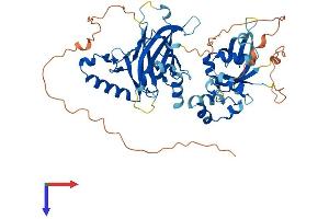 AlphaFold protein structure predicition of Mouse Recombinant Tfcp2 Protein, UniprotID Q9ERA0