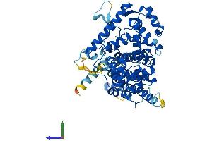 AlphaFold protein structure predicition of Human Recombinant TBC1D19 Protein, UniprotID Q8N5T2
