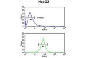 Flow Cytometry (FACS) image for anti-Ubiquitin Associated Protein 1 (UBAP1) antibody (ABIN3003932)