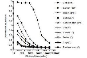 ELISA image for anti-Cytochrome P450 1A (CYP1A) antibody (ABIN108743) (CYP1A anticorps)