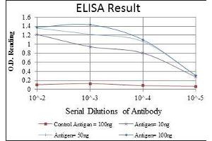 Red: Control Antigen (100 ng), Purple: Antigen (10 ng), Green: Antigen (50 ng), Blue: Antigen (100 ng),
