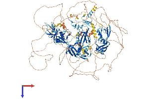 AlphaFold protein structure predicition of Mouse Recombinant Magi1 Protein, UniprotID Q6RHR9