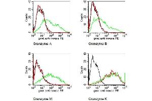 BOSC cells were transiently transfected with expression vectors for Granzyme A, B, K, or M.