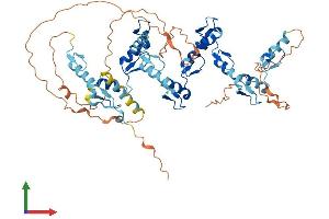AlphaFold protein structure predicition of Human Recombinant ZNF460 Protein, UniprotID Q14592