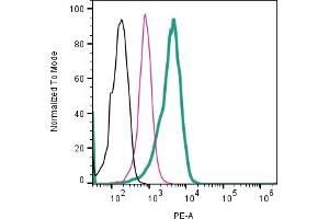 Cell surface detection of CD81 by direct flow cytometry in live intact human  MG glioblastoma cell line: + Rabbit IgG Isotype Control-PE (ABIN7582046).