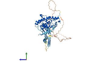 AlphaFold protein structure predicition of Human Recombinant PLEKHA8 Protein, UniprotID Q96JA3