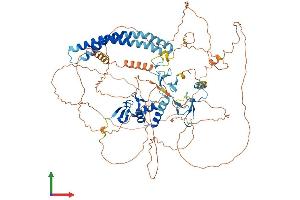 AlphaFold protein structure predicition of Mouse Recombinant Rnf19a Protein, UniprotID P50636