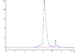 The purity of Biotinylated Human NKG2C&CD94 is greater than 95 % as determined by SEC-HPLC.