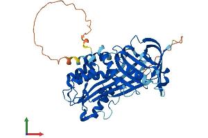 AlphaFold protein structure predicition of Mouse Recombinant Serpinb12 Protein, UniprotID Q9D7P9