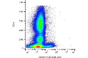 Flow cytometry analysis (surface staining) of human peripheral blood with anti-human CD267 (1A1) purified, DAR-APC. (TACI anticorps)
