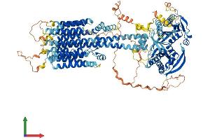AlphaFold protein structure predicition of Mouse Recombinant Adcy1 Protein, UniprotID O88444
