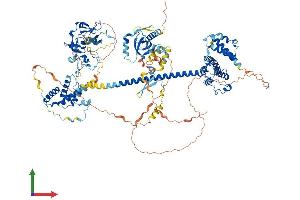 AlphaFold protein structure predicition of Human Recombinant BRD1 Protein, UniprotID O95696