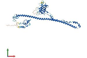 AlphaFold protein structure predicition of Human Recombinant TRIM35 Protein, UniprotID Q9UPQ4