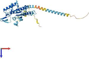 AlphaFold protein structure predicition of Human Recombinant SEPTIN2 Protein, UniprotID Q15019
