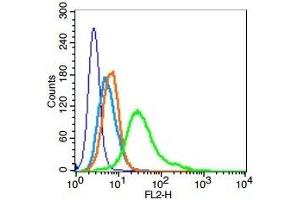 Human Hela cells probed with Geminin Polyclonal Antibody, Unconjugated  (green) at 1:100 for 30 minutes followed by a PE conjugated secondary antibody compared to unstained cells (blue), secondary only (light blue), and isotype control (orange).