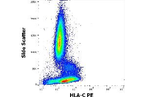 Flow cytometry surface staining pattern of human peripheral whole blood stained using anti-human HLA-C (DT-9) PE antibody (10 μL reagent / 100 μL of peripheral whole blood). (HLA-C anticorps  (PE))