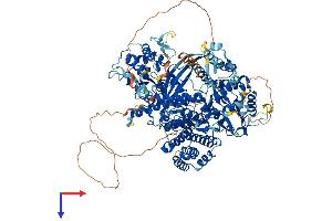 AlphaFold protein structure predicition of Human Recombinant TERT Protein, UniprotID O14746