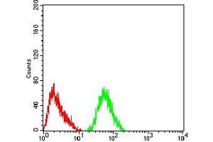 Flow cytometric analysis of SH-SY5Y cells using GRIK4 mouse mAb (green) and negative control (red).