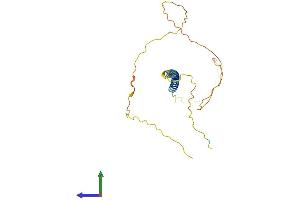 AlphaFold protein structure predicition of Human Recombinant TCEAL2 Protein, UniprotID Q9H3H9