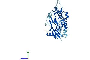 AlphaFold protein structure predicition of Mouse Recombinant Atp1b2 Protein, UniprotID P14231