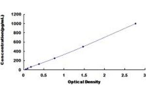 Typical standard curve (HSPB2 Kit ELISA)
