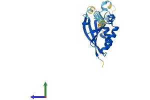 AlphaFold protein structure predicition of Human Recombinant DESI2 Protein, UniprotID Q9BSY9