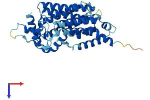 Glucose-6-Phosphatase, Catalytic, 2 (G6PC2) (AA 1-355) protein (His tag)