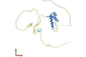 AlphaFold protein structure predicition of Human Recombinant HHEX Protein, UniprotID Q03014