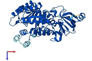 AlphaFold protein structure predicition of Human Recombinant AMDHD1 Protein, UniprotID Q96NU7