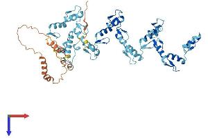 AlphaFold protein structure predicition of Human Recombinant ZNF26 Protein, UniprotID P17031