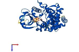 AlphaFold protein structure predicition of Mouse Recombinant Hykk Protein, UniprotID Q5U5V2