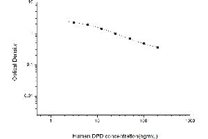 Deoxypyridinoline (DPD) ELISA Kit