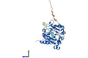 AlphaFold protein structure predicition of Mouse Recombinant Napepld Protein, UniprotID Q8BH82